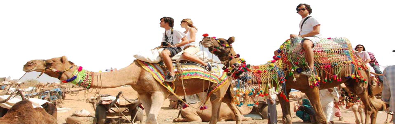 Organisez votre voyage sur mesure au Rajasthan
